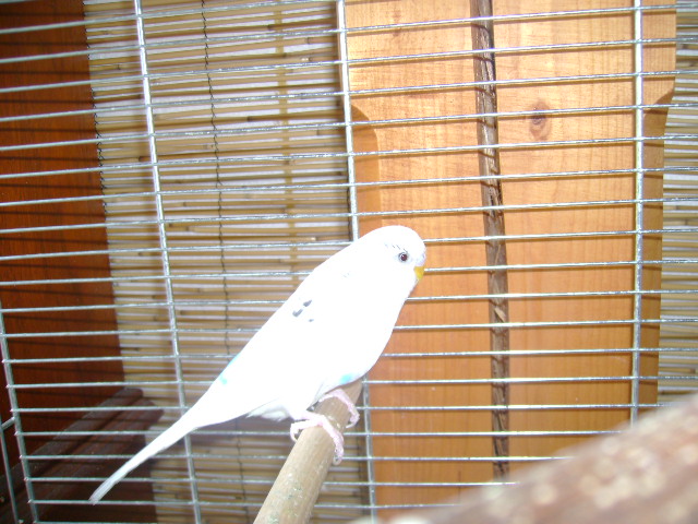 DSC01358.JPG