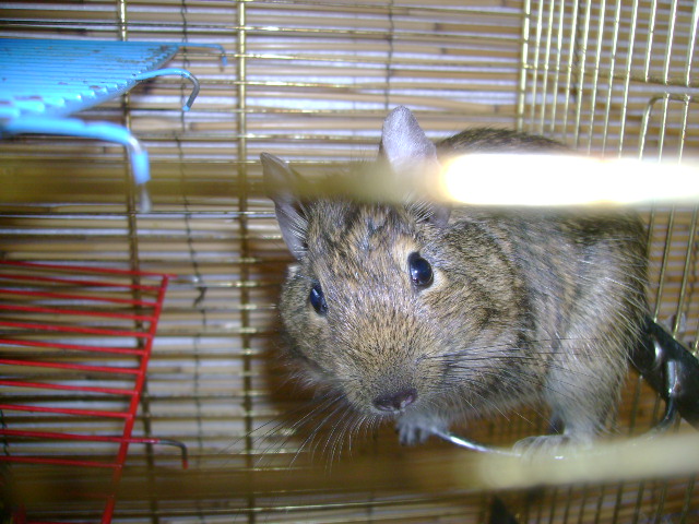 DSC01384.JPG