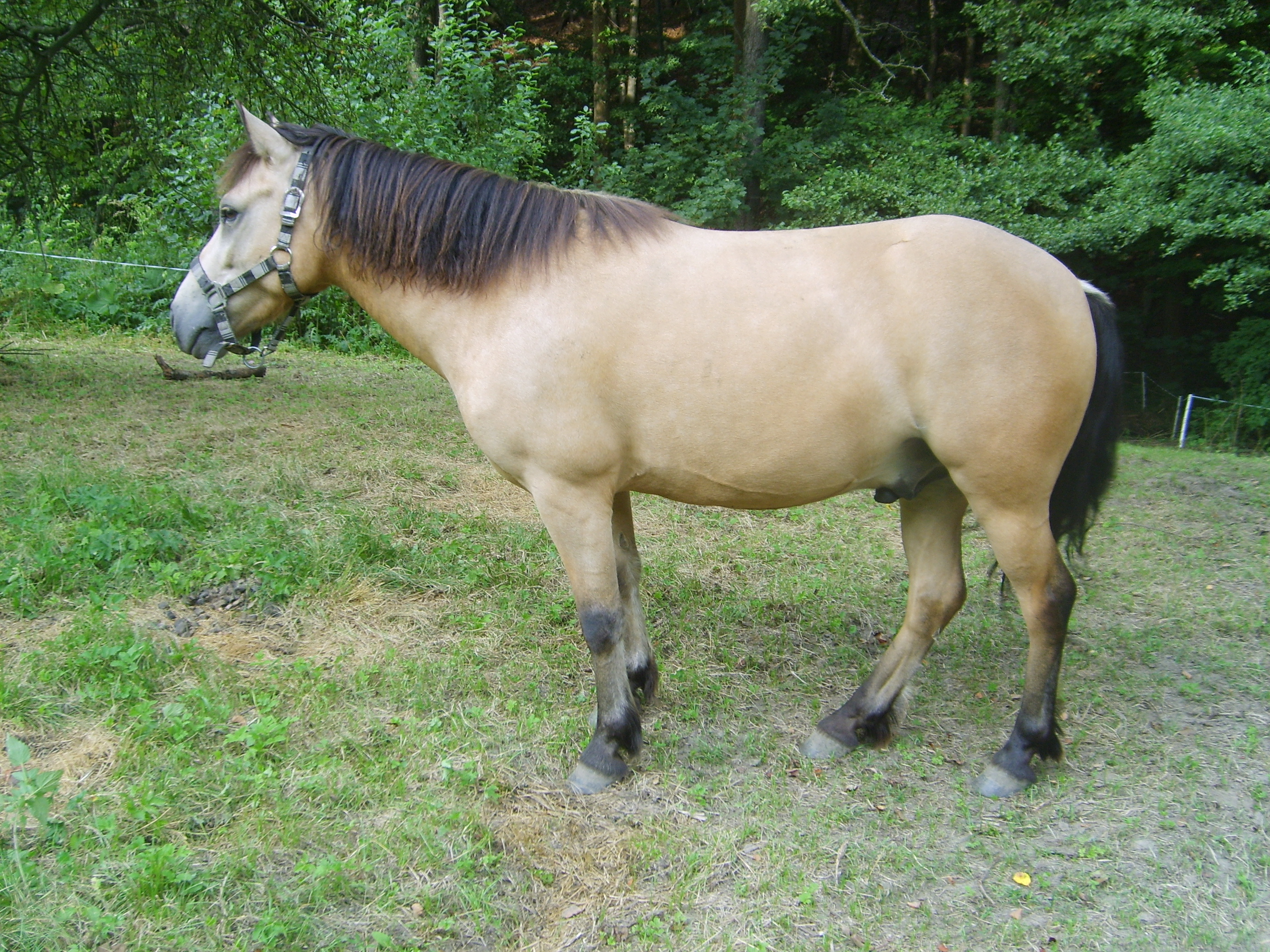 S6002660.JPG