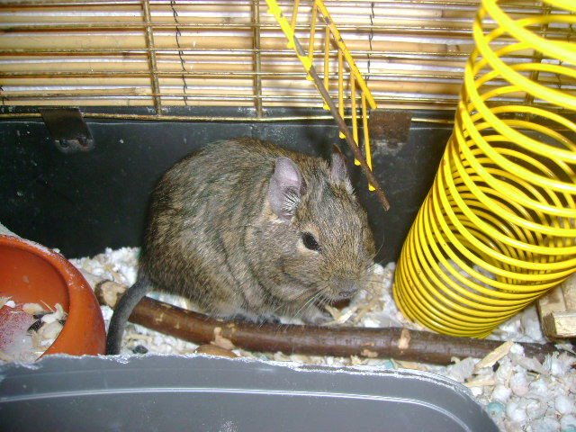 DSC01420.JPG