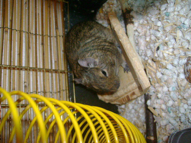 DSC01424.JPG