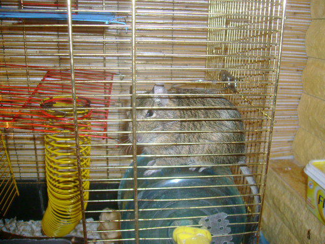 DSC01427.JPG